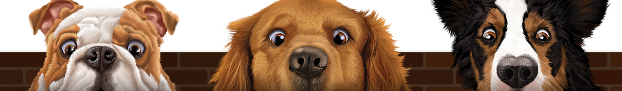 butcher's best dog food